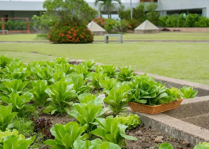 Lee Gardens Plaza - Sha PlusHatyai Hotel